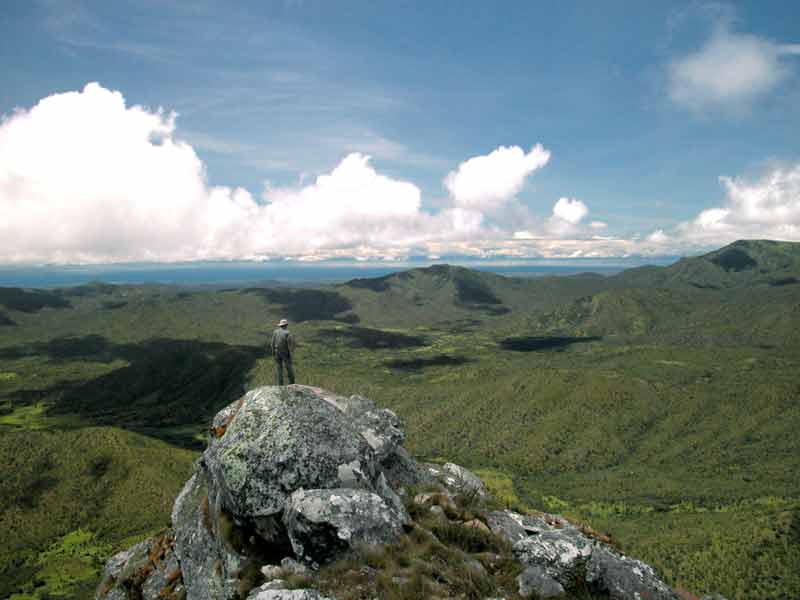 Nyika met priv gids/chauffeur